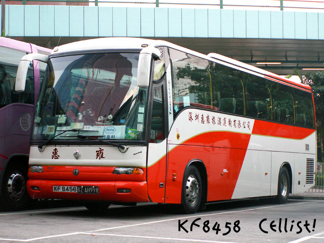 kf8458-2.jpg