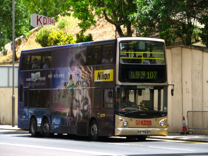 794101.jpg