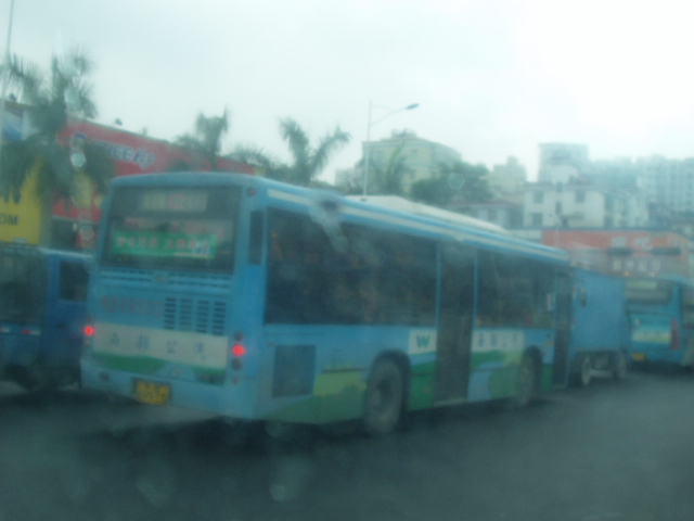 P8110026.JPG
