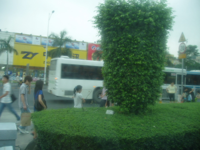P8110024.JPG