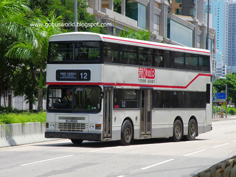P8161262-2.JPG
