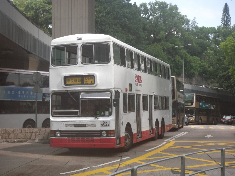 9543.jpg