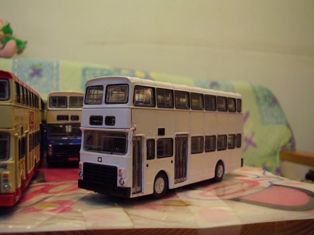P7280054a.jpg