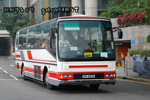 nn4604.jpg