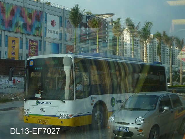 309.jpg