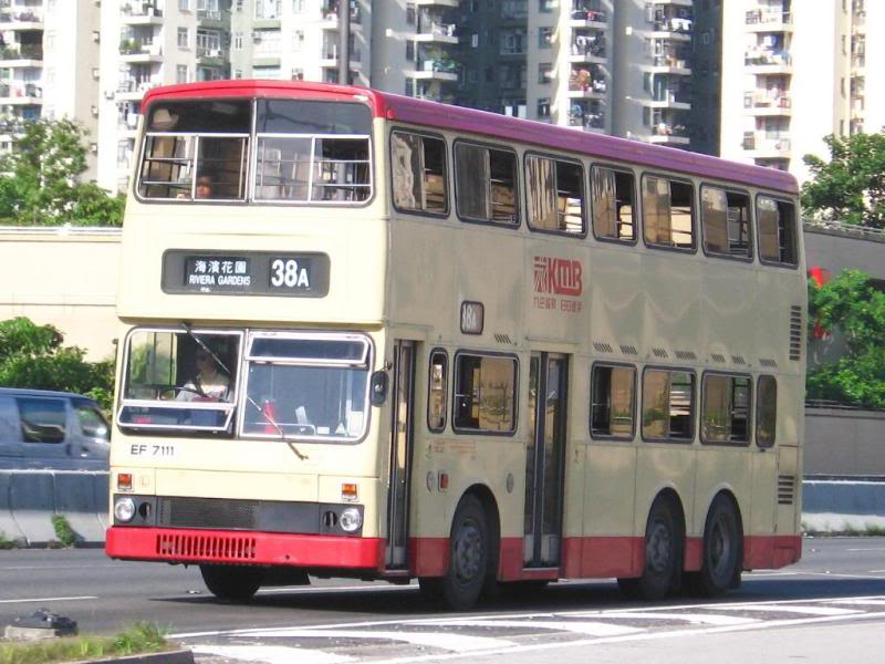 bus17493.jpg