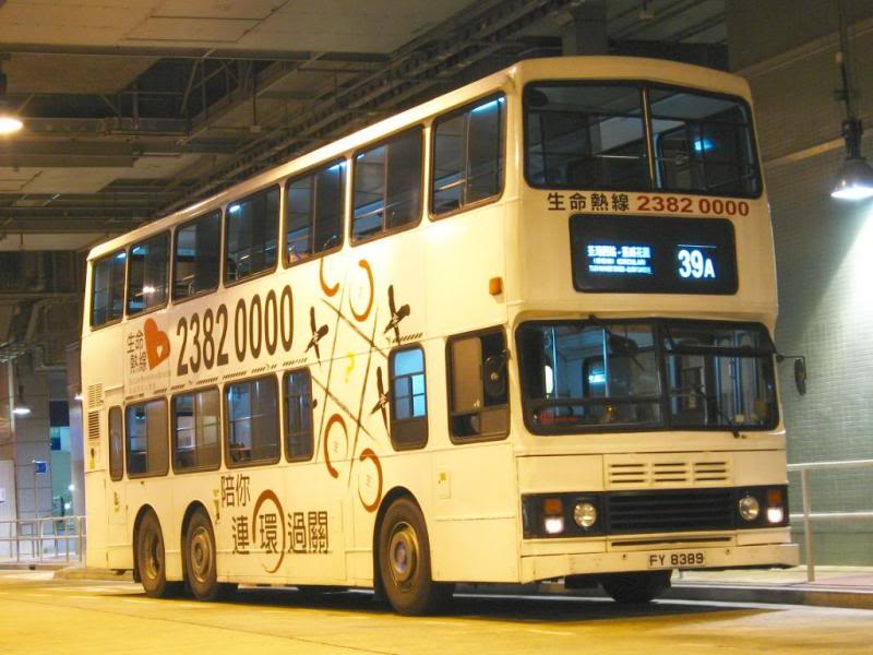 bus17303.jpg