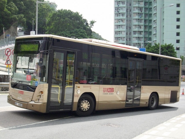 p8530211a.jpg