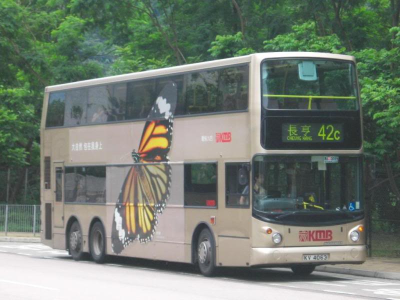 bus17231.jpg