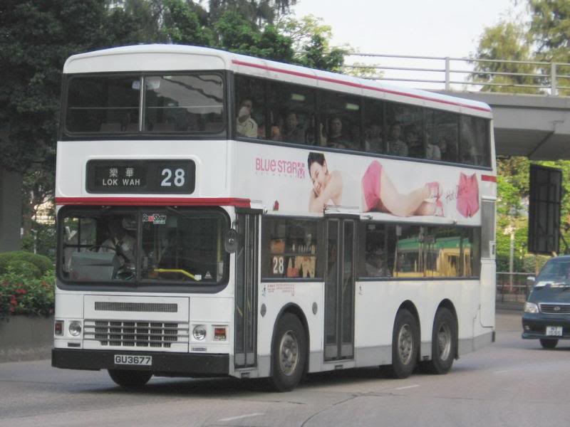 bus17612.jpg