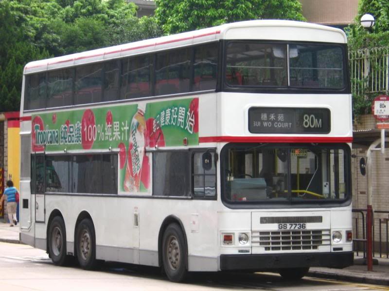 bus17506.jpg