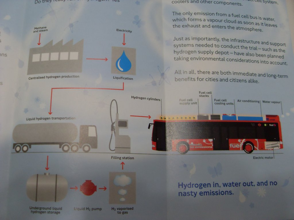 SDC10102.jpg