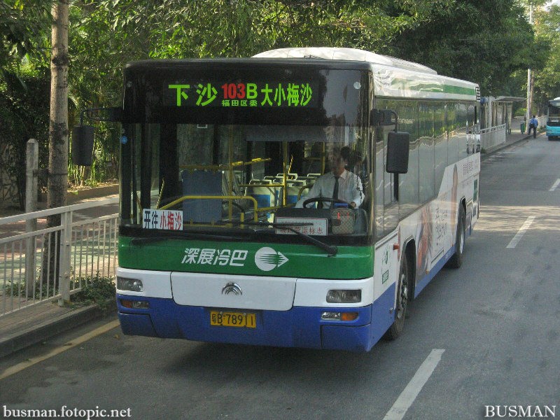 b78911-a.jpg