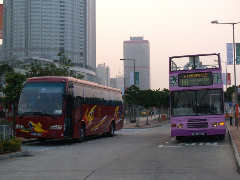 Pa222429.jpg