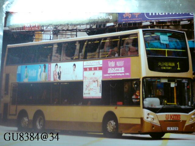 DSC00338.JPG