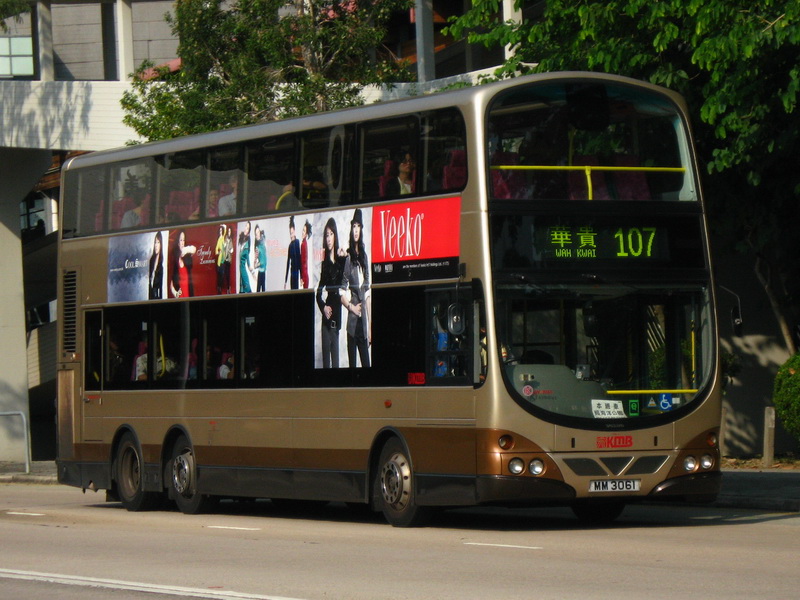 AVBW46.jpg