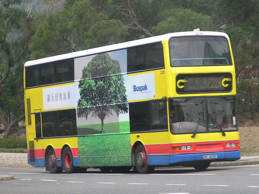 P1011431.jpg
