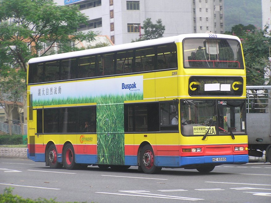 P1011938a.jpg