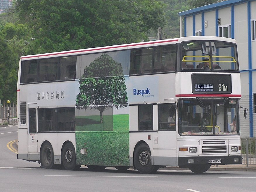 P1012569.jpg