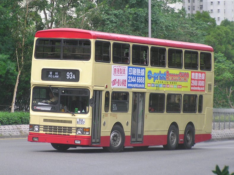 P1013496.jpg