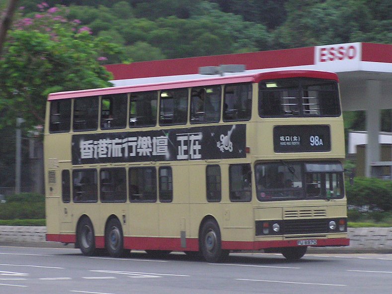 P1013517d.jpg