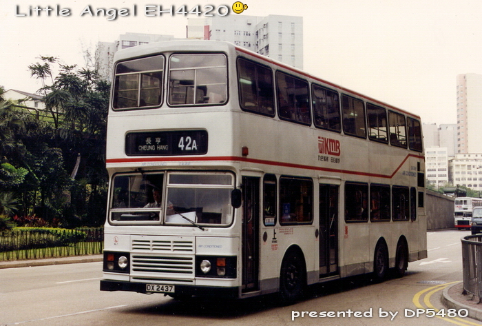 DX2437-AL1_42ALL.jpg