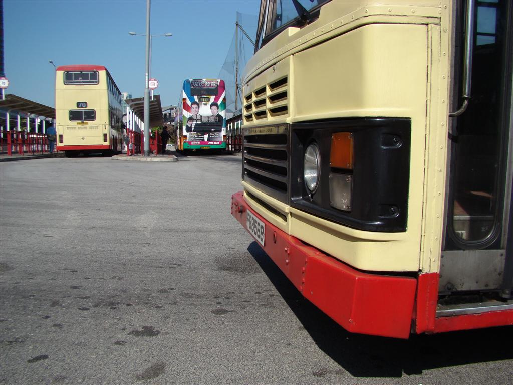 group_FB8568_FB8955_3 (Large).JPG