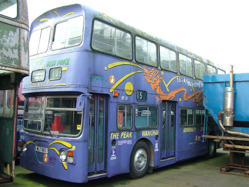 sf31.JPG