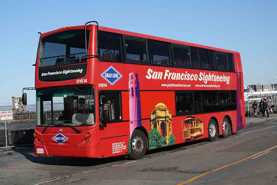 SS 61614 SUN GOOD.jpg