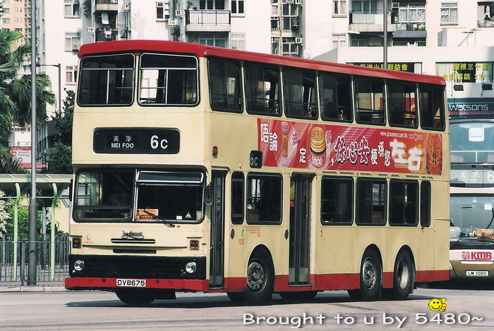 DV8675@6C-RG.jpg