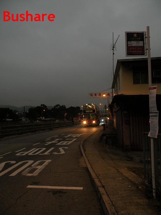 DSCN6529.JPG