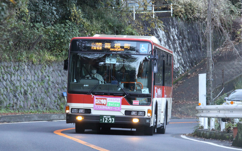Bus_6291.jpg