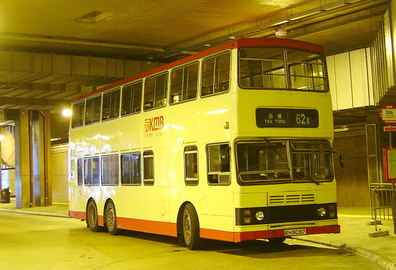 DSC09501.jpg