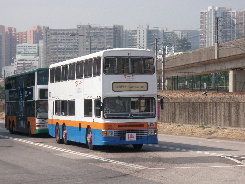 T3a.jpg