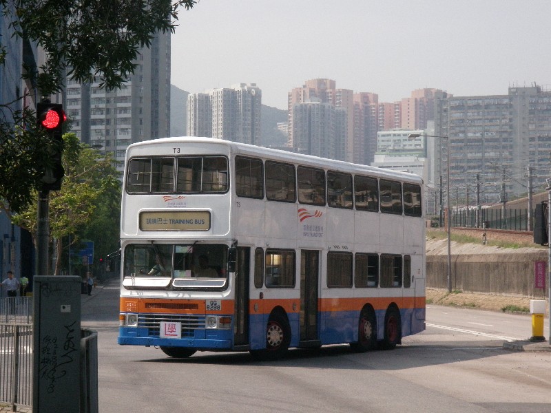 T3b.jpg