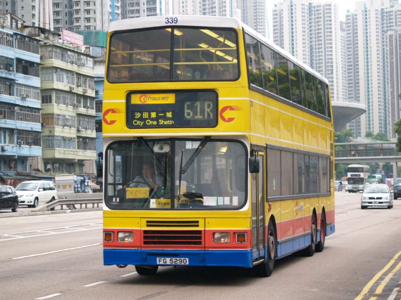 c_339_1.jpg