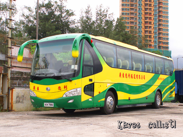 kh786.jpg