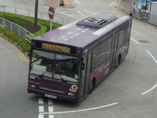 01.jpg