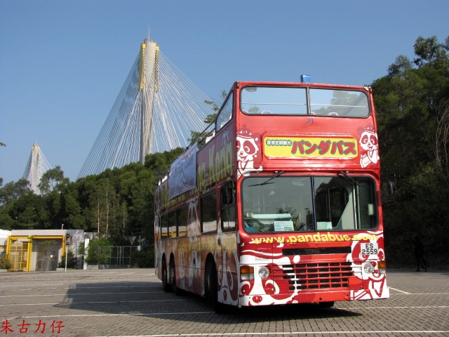 IMG_6854.jpg