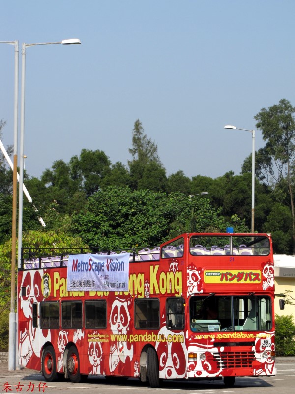 IMG_6849.jpg