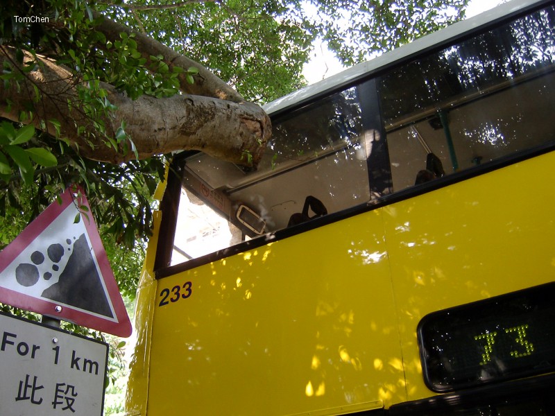 233b.jpg