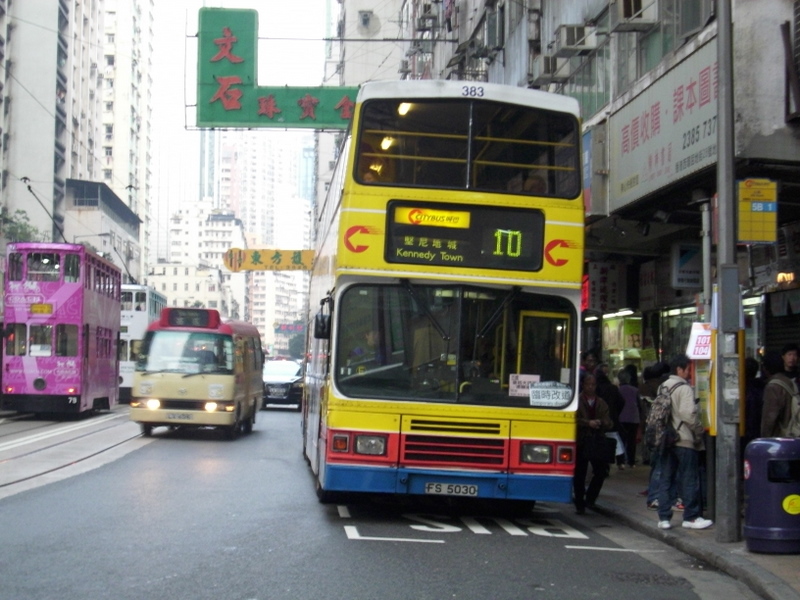 p8570059.jpg