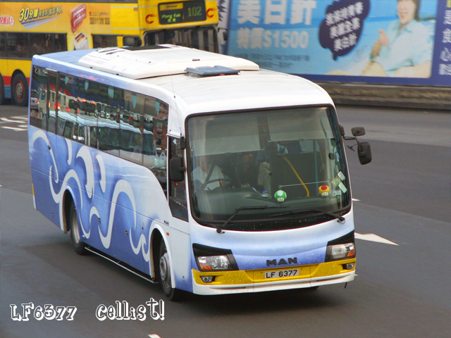 lf6377-2.jpg