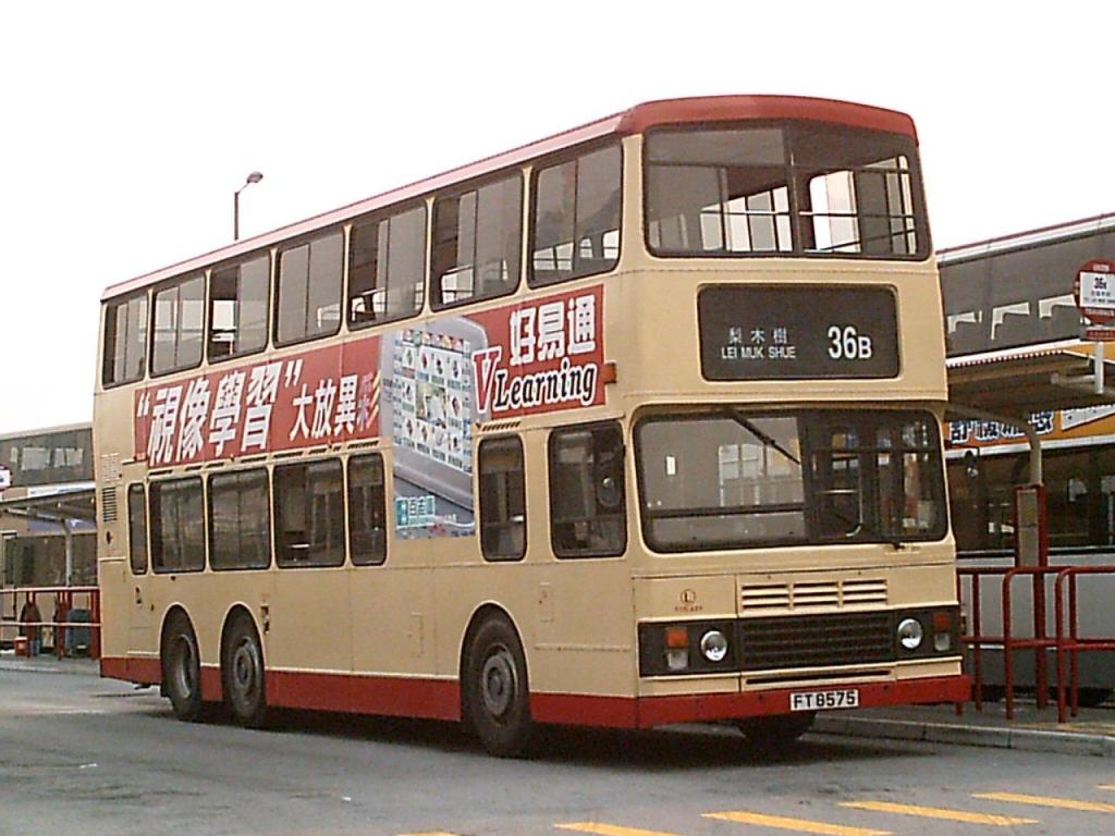 bus3295.JPG