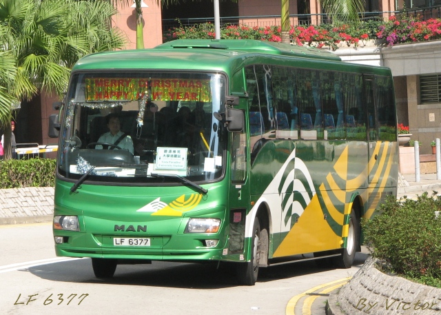 LF6377.jpg
