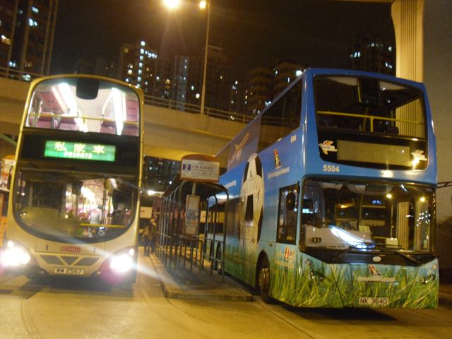 03.jpg