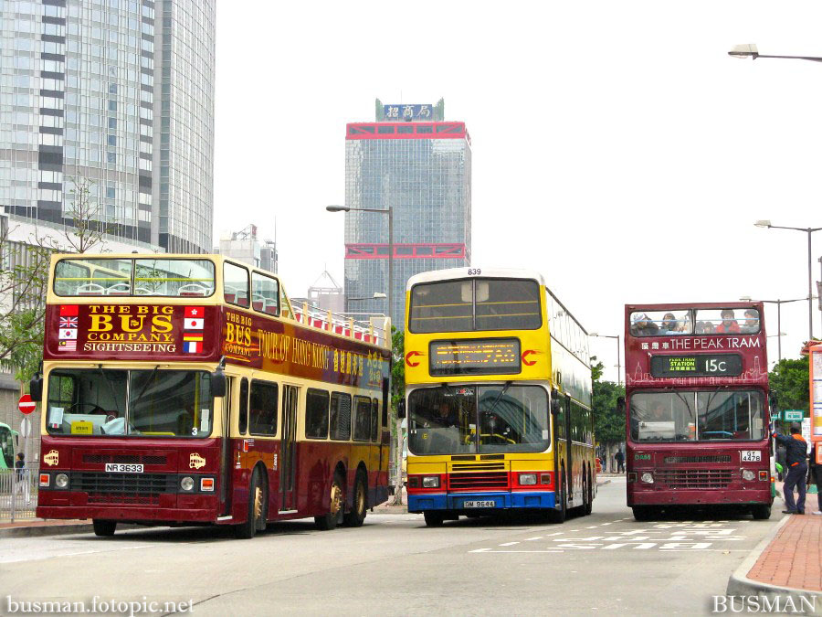 bigbus-m.jpg
