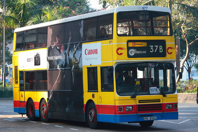 977.jpg