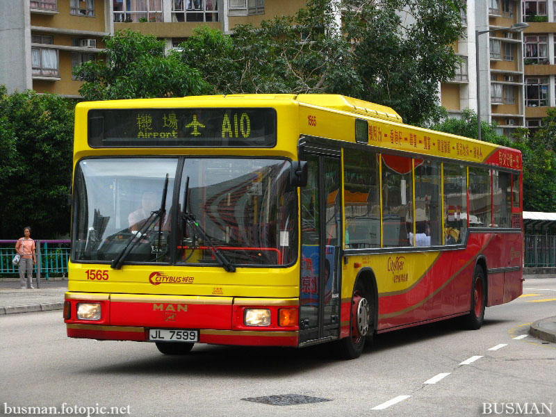 1565-a-a10.jpg