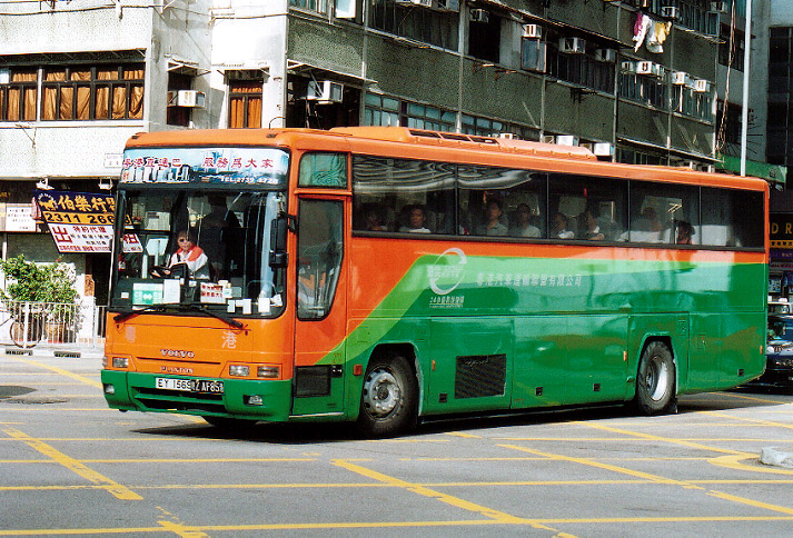 gdhk81.jpg